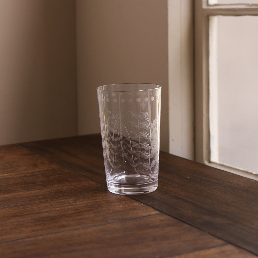 beatriz-ball-glass-fern-with-dots-tumbler-set-of-4-clear