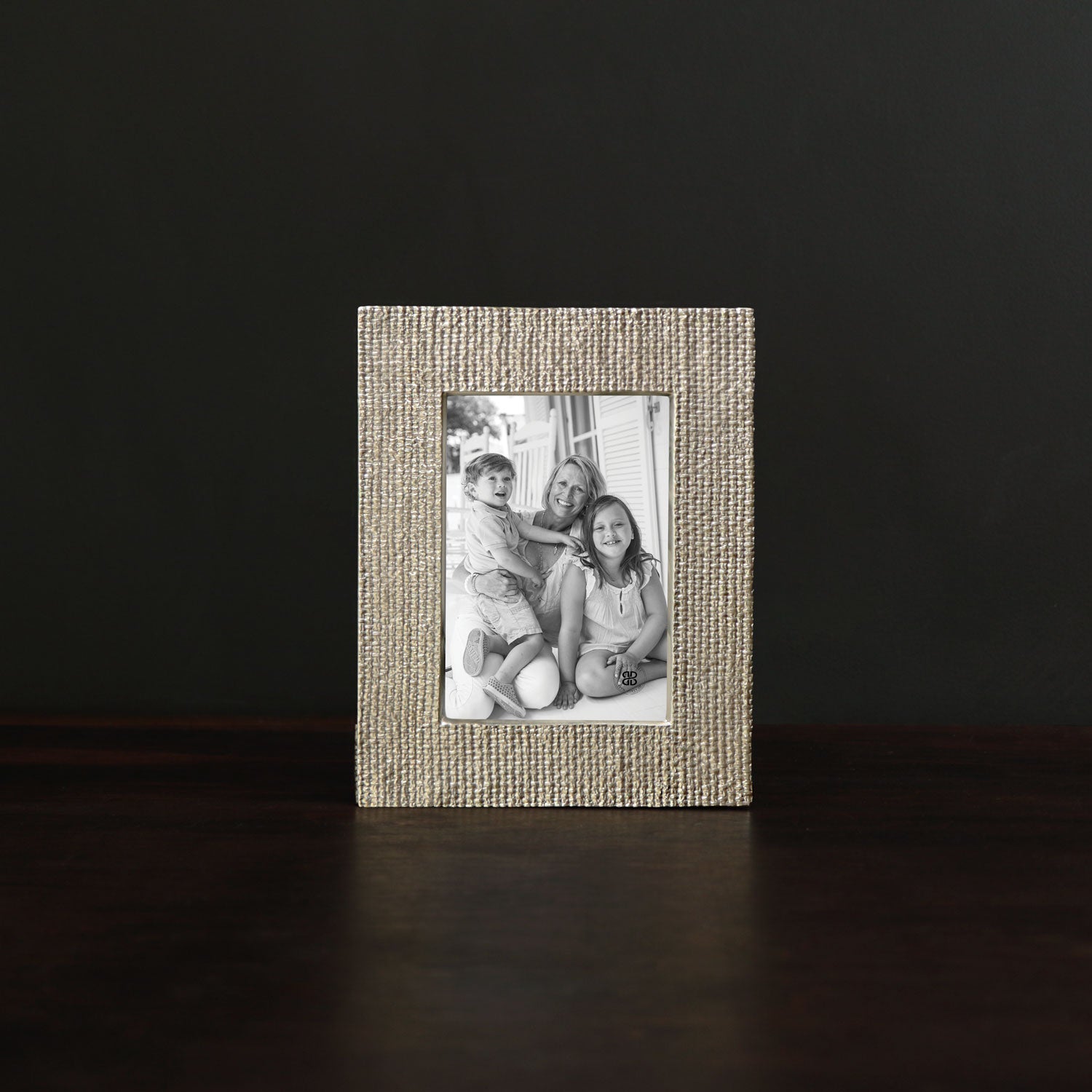 beatriz-ball-frame-sierra-modern-tela-5-x-7-frame-gold