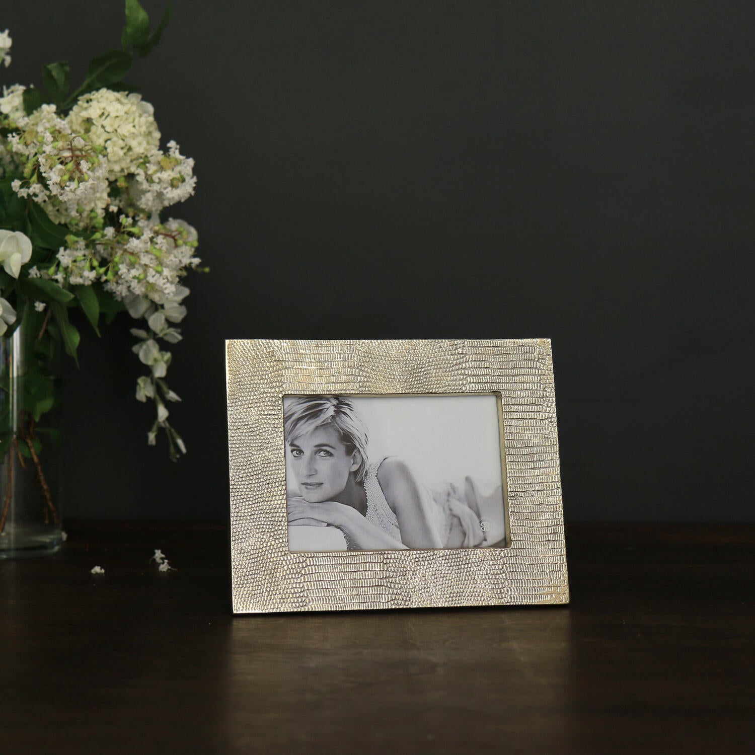 beatriz-ball-frame-sierra-modern-python-5-x-7-frame-gold