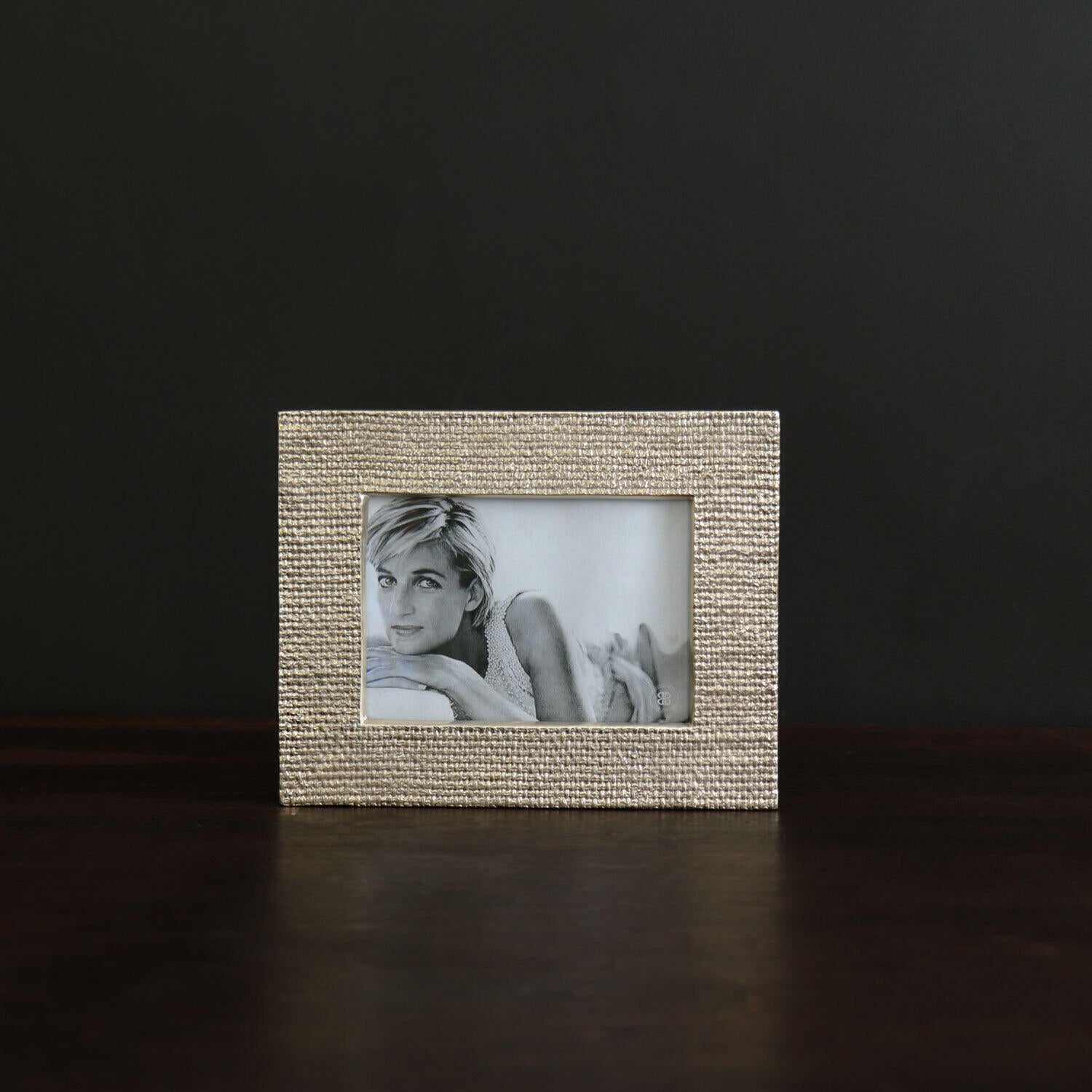 beatriz-ball-frame-sierra-modern-tela-5-x-7-frame-gold