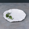 beatriz-ball-vida-alegria-9-salad-plate-set-of-4-white