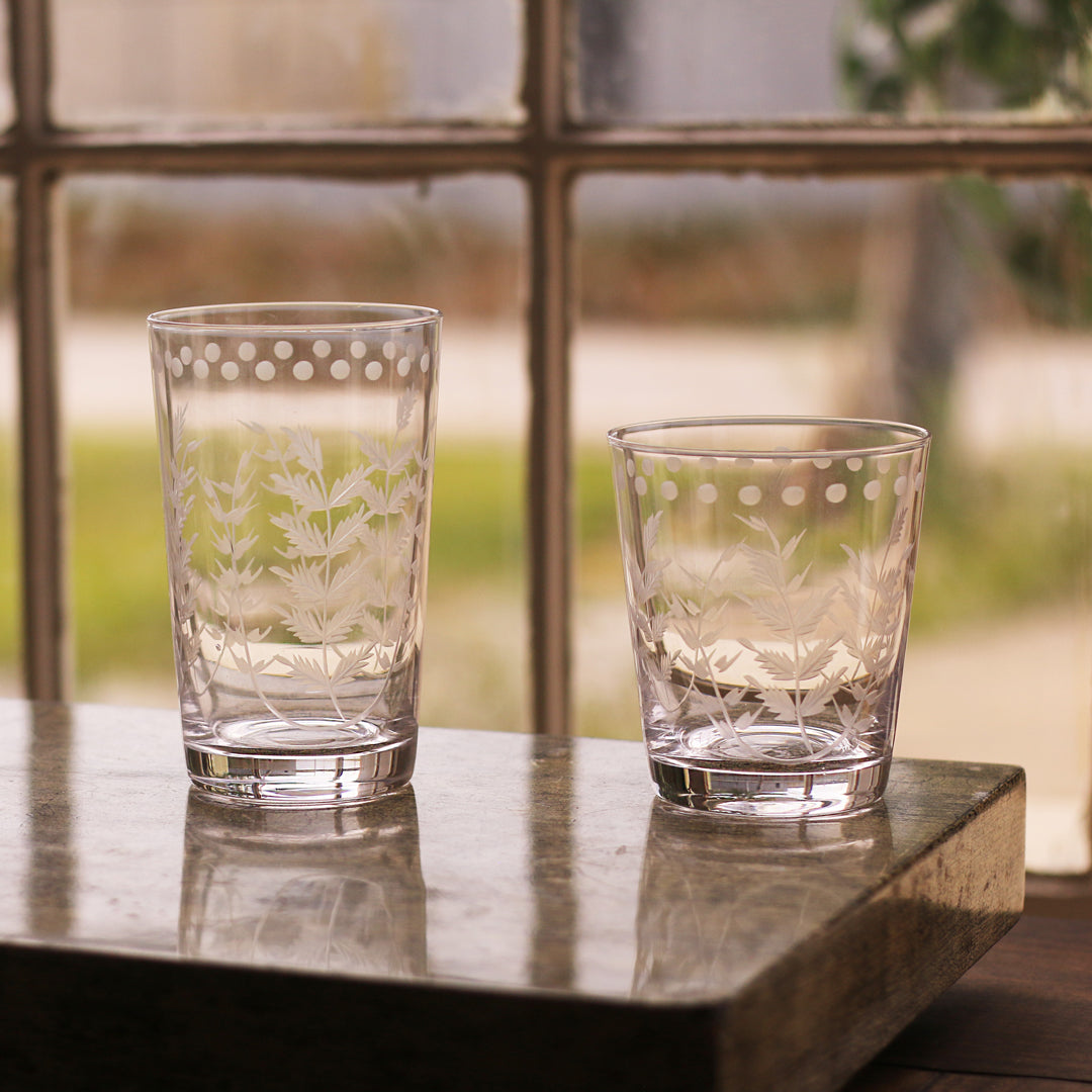 GLASS Fern with Dots Tumbler Set of 4 (Clear)