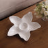 beatriz-ball-vida-ocean-starfish-chip-dip-white