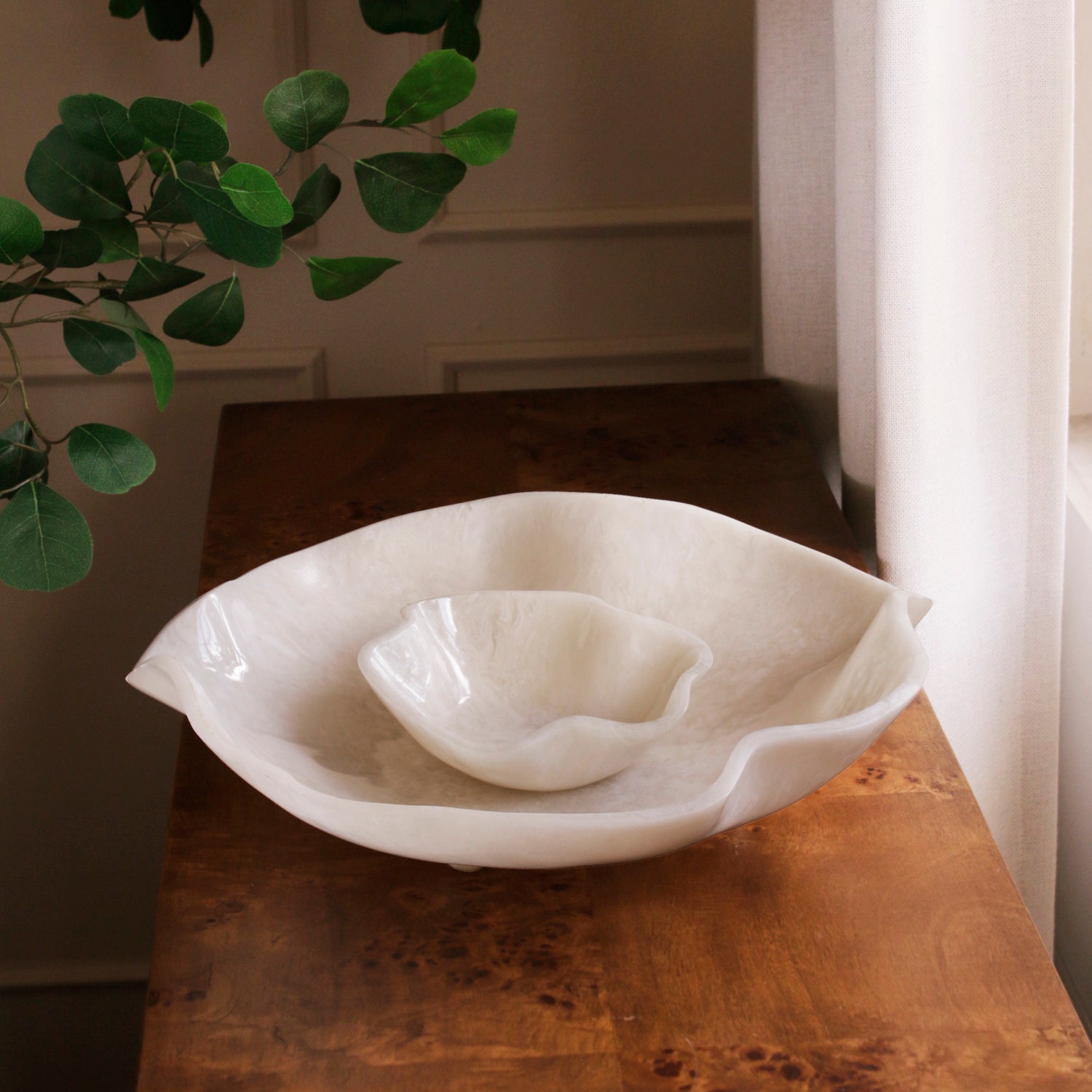 White resin bowl on a wooden surface with a plant in the background