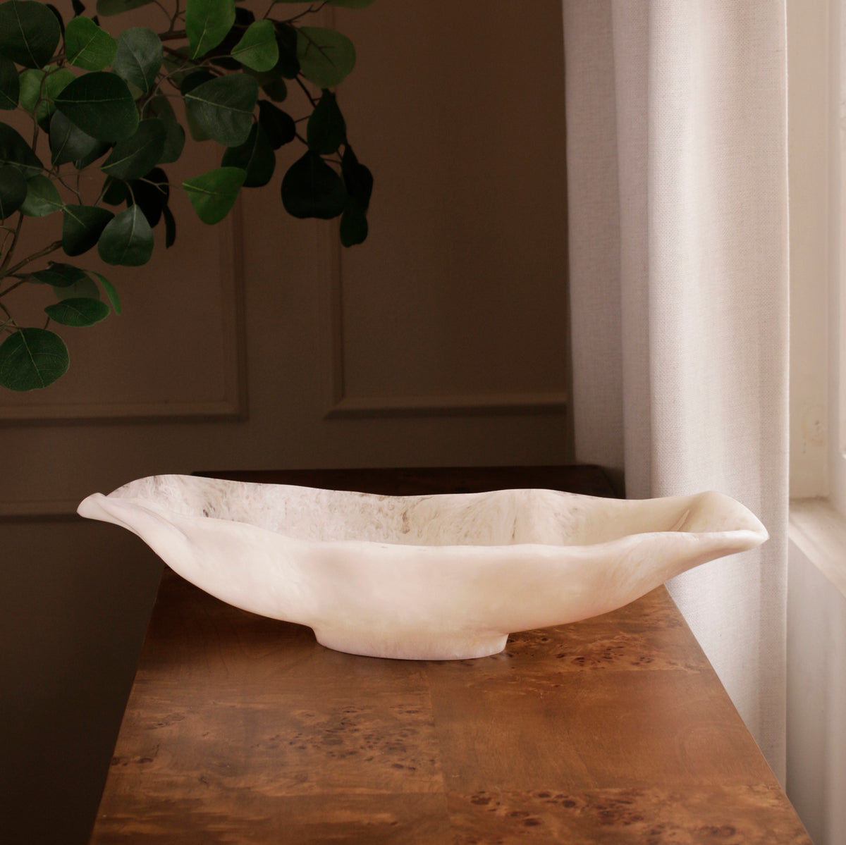 White resin bowl on a wooden surface with a plant in the background