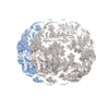 vida-english-toile-reversible-placemats-set-of-4-blue-and-gray
