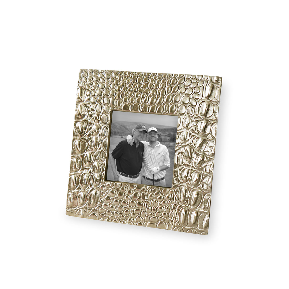 beatriz-ball-frame-sierra-modern-croc-3-x-3-frame-gold