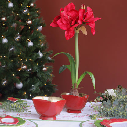 beatriz-ball-thanni-elena-small-bowl-red-and-gold