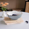 beatriz-ball-encanto-dakota-small-bowl-slate-and-white