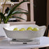 beatriz-ball-encanto-dakota-large-bowl-dove-and-white