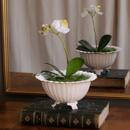 beatriz-ball-encanto-vienna-footed-medium-bowl-cream-and-white