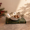 VENTO Colette Large Bowl