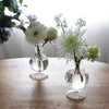 beatriz-ball-glass-cambridge-louise-5-bud-vase-set-of-2-clear
