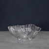 beatriz-ball-vida-acrylic-large-deep-bowl-clear-seconds-non-refundable
