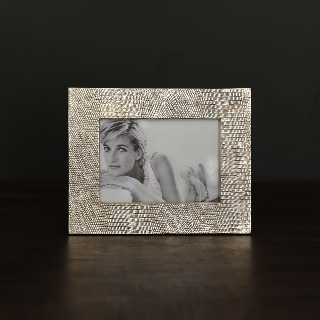 beatriz-ball-frame-sierra-modern-python-5-x-7-frame-gold