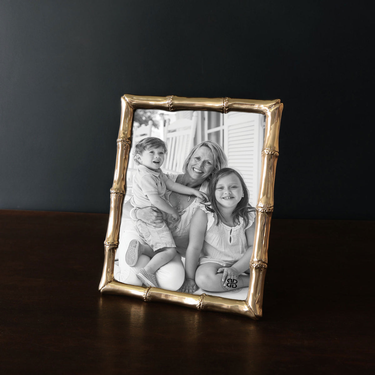 beatriz-ball-frame-sierra-modern-bamboo-8-x-10-frame-gold